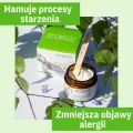 birch-cream-with-betulin-sylveco-deep-moisturization-skin-repair.webp